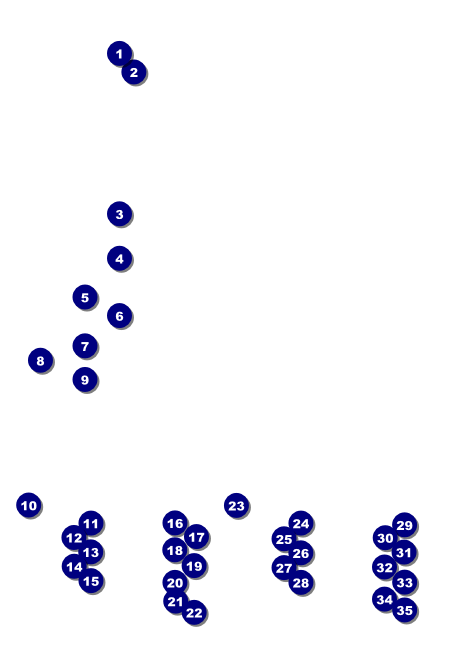 Track and Field Club Flyer Front Field Markers